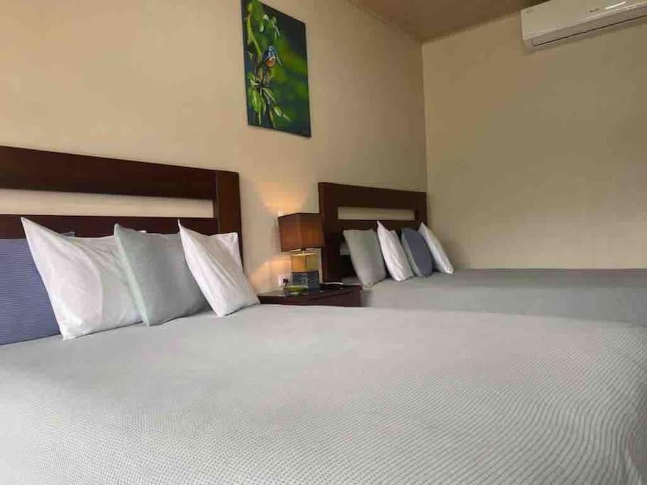 Lisa Loft Boutique Apartment La Fortuna Εξωτερικό φωτογραφία