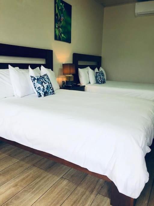 Lisa Loft Boutique Apartment La Fortuna Εξωτερικό φωτογραφία